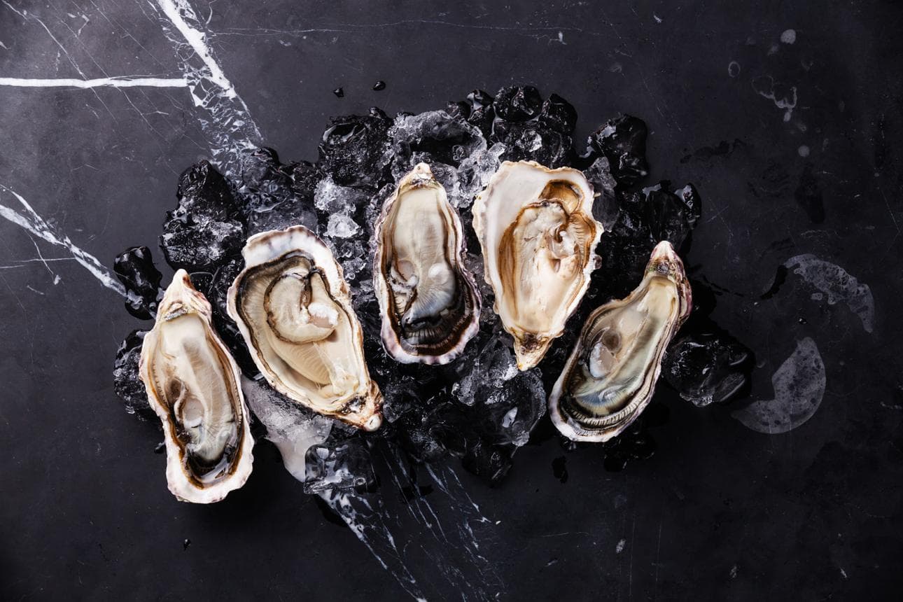 Fresh oyster on ice